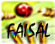 Cricket T20 Fever by FAISAL