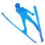 3DSkiJumping2011