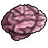 Brain Squeeze