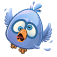 BirdBuzz