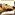 Greyhound_Racing_Multiplayer_M3