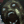 DEADZONES