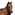 Atomic Horse Racer
