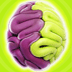 Brain