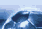 Football Manager 2008