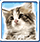Cute Memo Pairs TEGOS