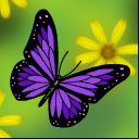 ButterflyRecall