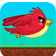 CrazyBirdRace