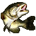 Bass Fishing by Racer Games Team