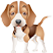 Dog Sounds