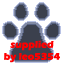 DogZ 3D -leo5354