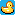 Funky Ducky
