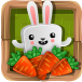 Bunny Adventure