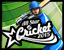 AllStarCricketPPD