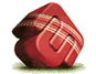 Ashes Cricket
